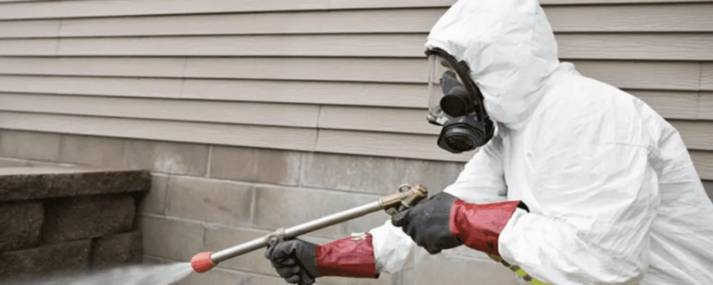 The Carpet Surgeon Gold Coast