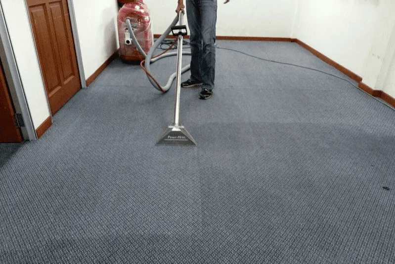 5 Benefits of Professional Carpet Cleaning You Might Not Know About