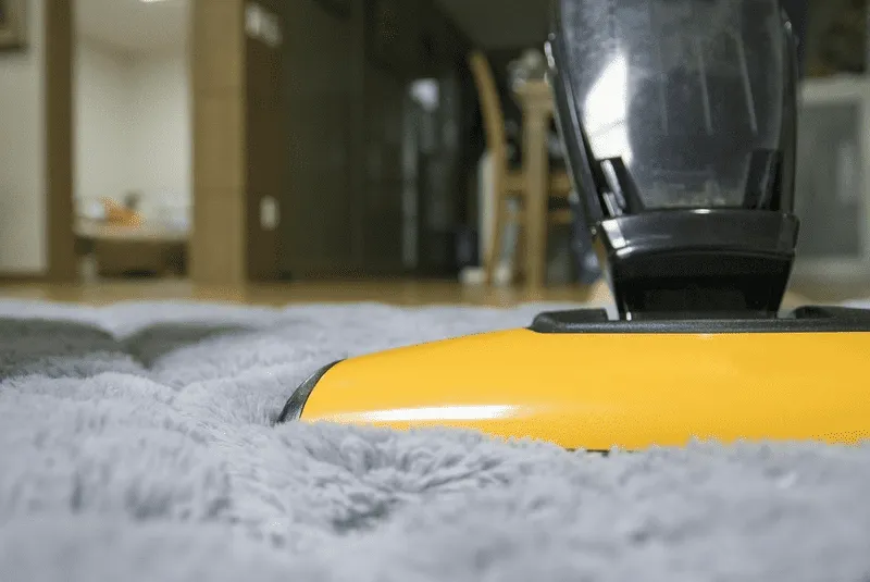 5 Benefits of Professional Carpet Cleaning You Might Not Know About 5 Benefits of Professional Carpet Cleaning You Might Not Know About