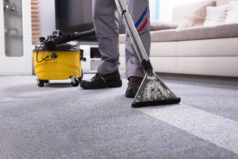 5 Benefits of Professional Carpet Cleaning You Might Not Know About
