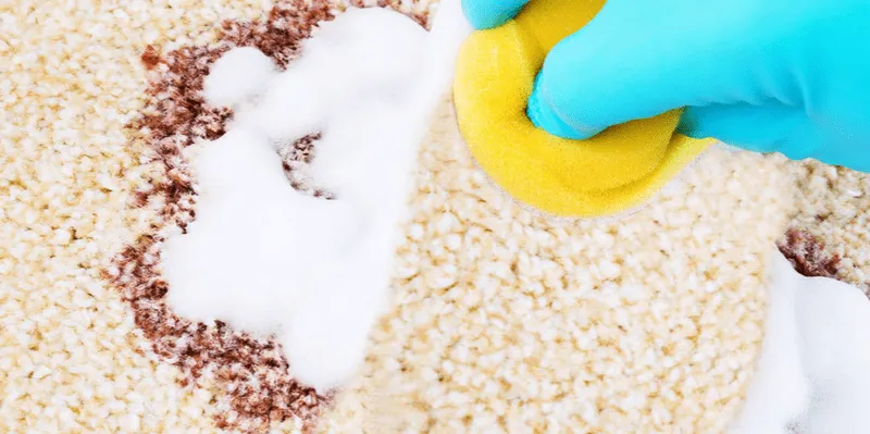 Clean White Upholstery Clean White Upholstery