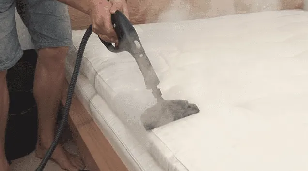 How to Clean a Mattress - Tips From Professional Cleaners Gold Coast How to Clean a Mattress - Tips From Professional Cleaners Gold Coast