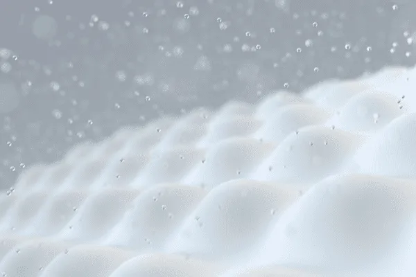 What's Living in Your Mattress: The Truth About Dust Mites