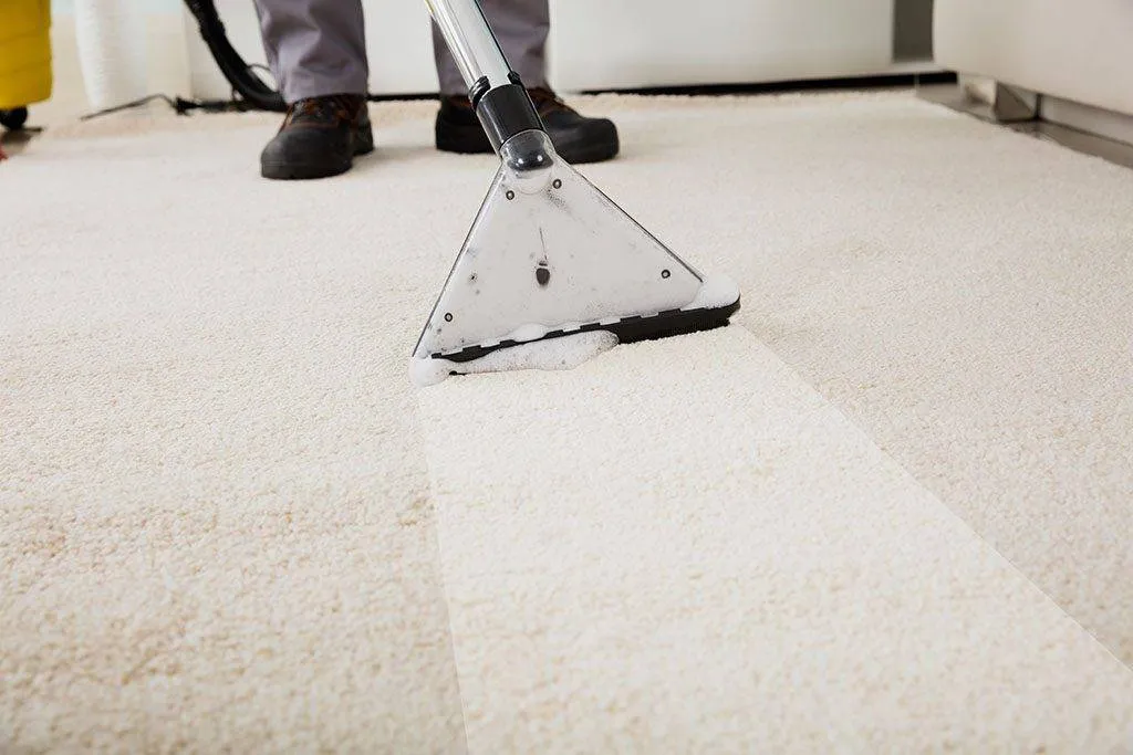 Is Your Dirty Carpet Making You Sick