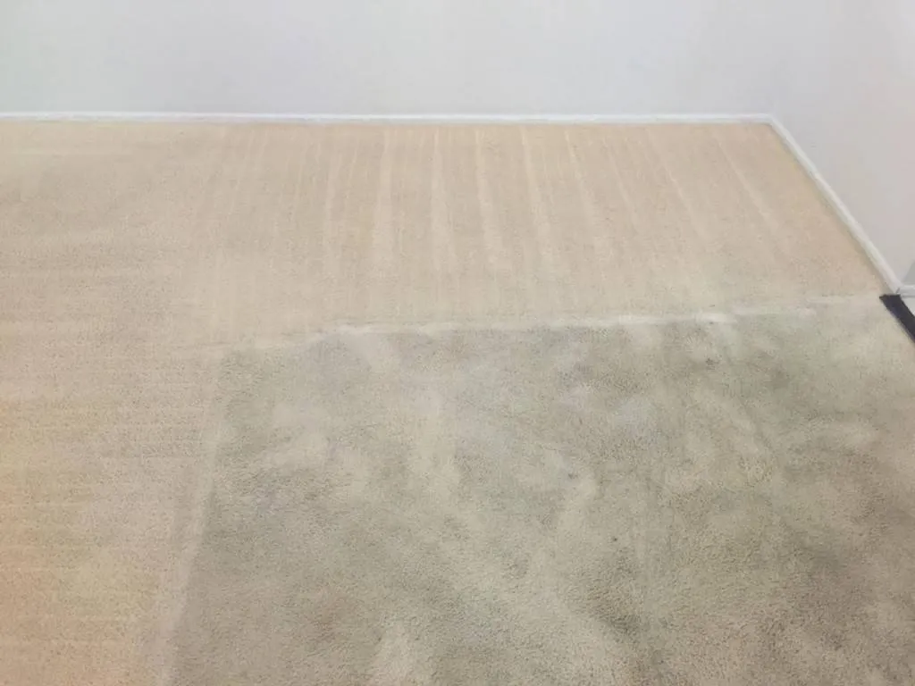 The Carpet Surgeon Gold Coast