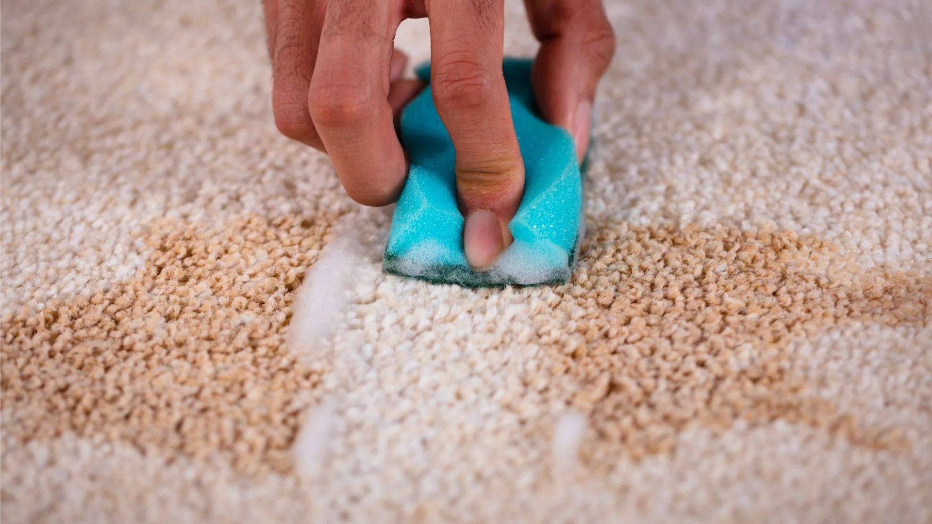 The Carpet Surgeon Gold Coast