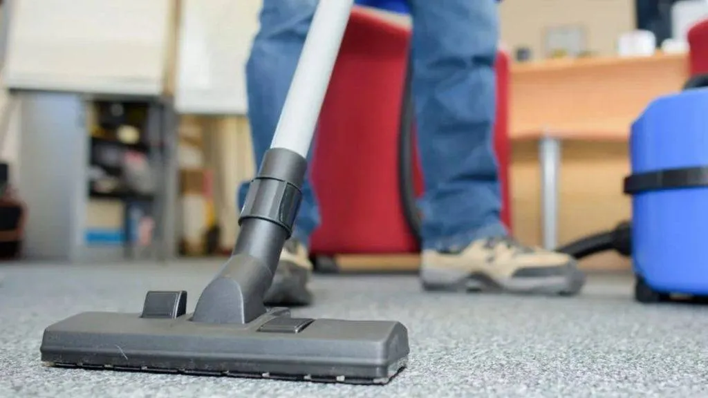 Clean, fresh carpets after professional cleaning