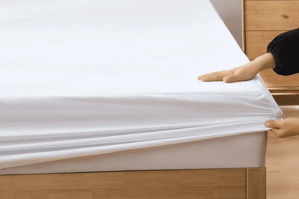 What's Living in Your Mattress: The Truth About Dust Mites