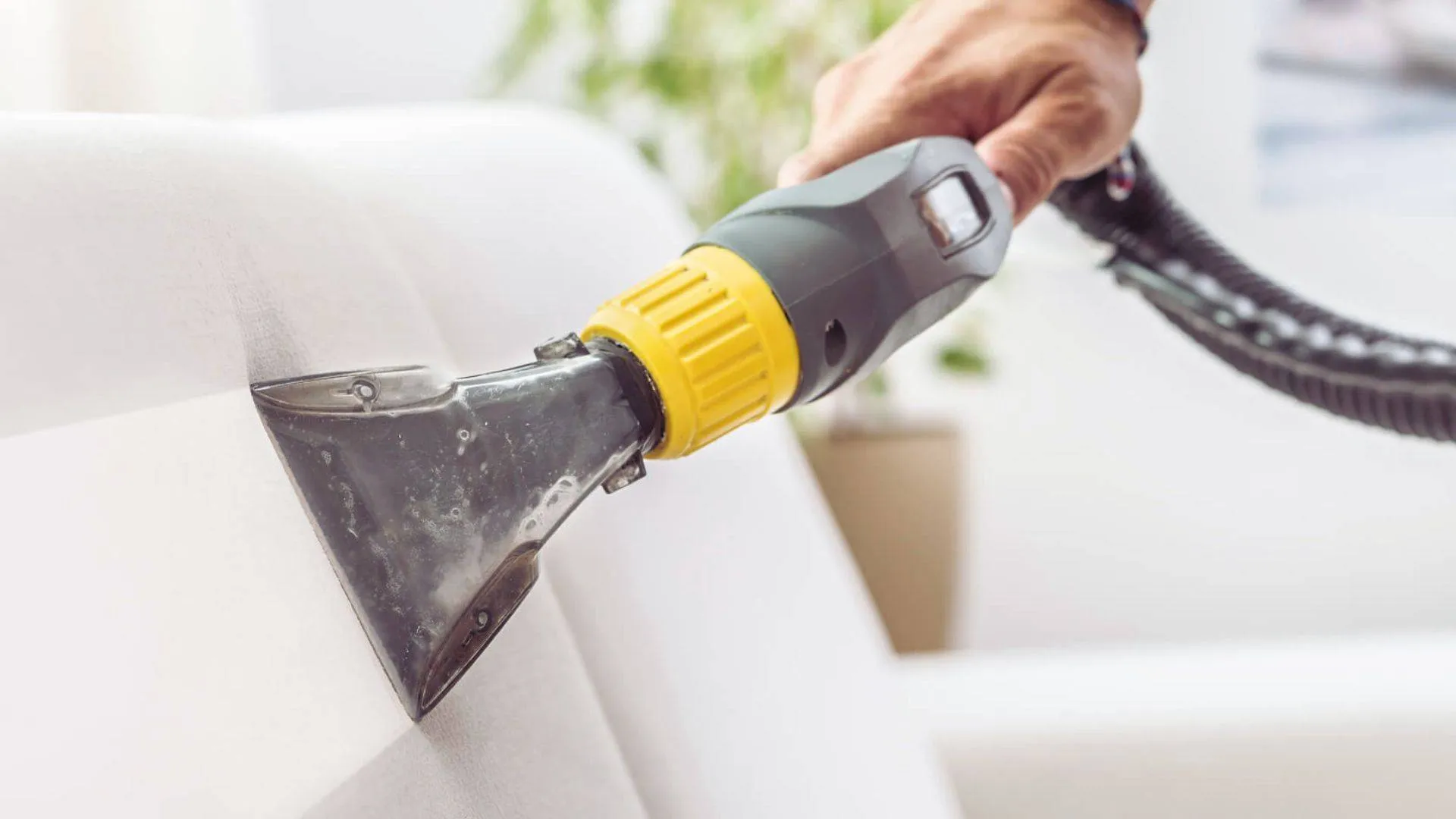 Gold Coast upholstery cleaner