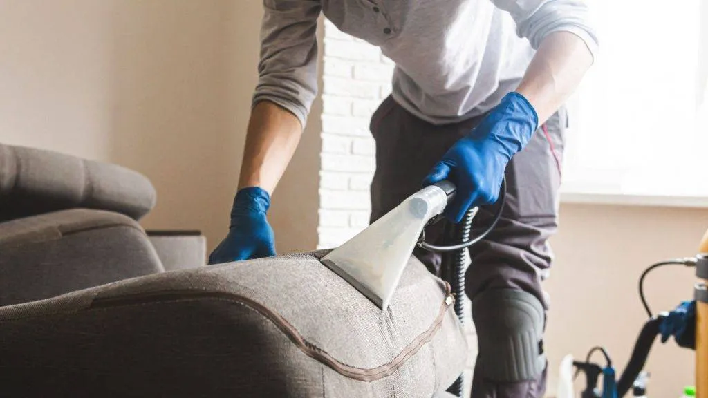 Cleaning an upholstered sofa with blue gloves