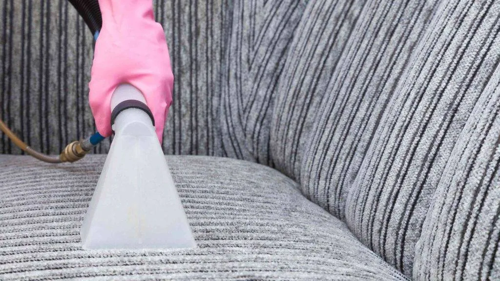 Cleaning an upholstered couch with pink gloves