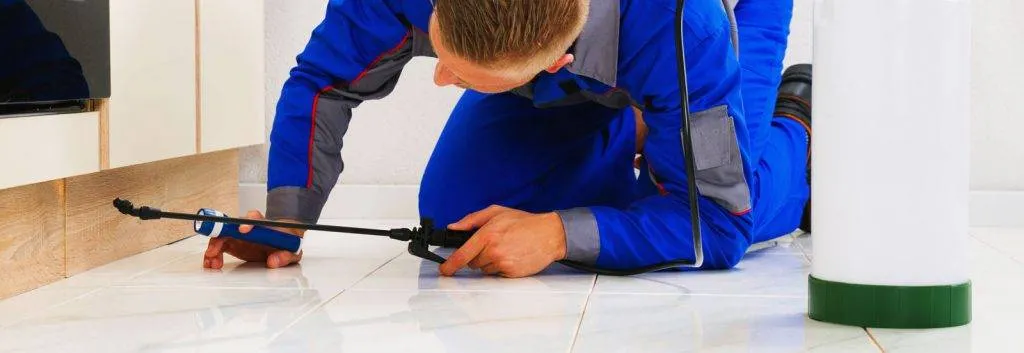 Pest Control Gold Coast