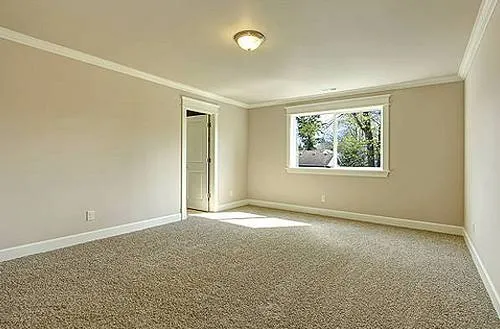 gold coast carpet steam cleaning