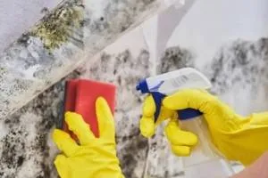 clean grout and tile like the professionals clean grout and tile like the professionals