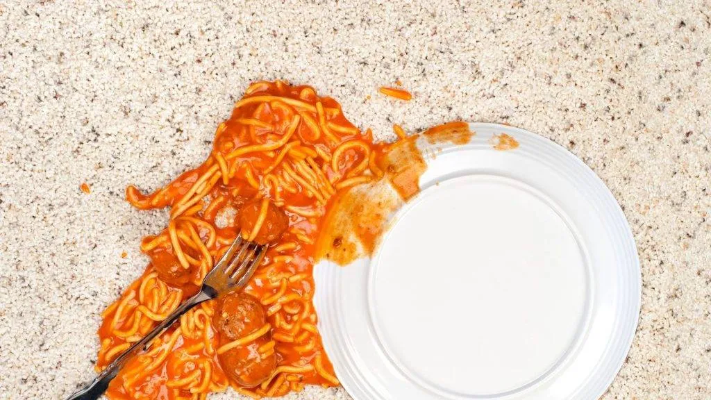 Gold Coast professional carpet cleaner, The Carpet Surgeon Gold Coast, with an example of a pasta sauce stain on carpet.