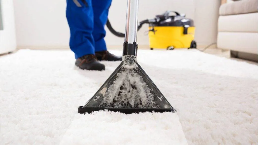professional rug cleaning on a white rug