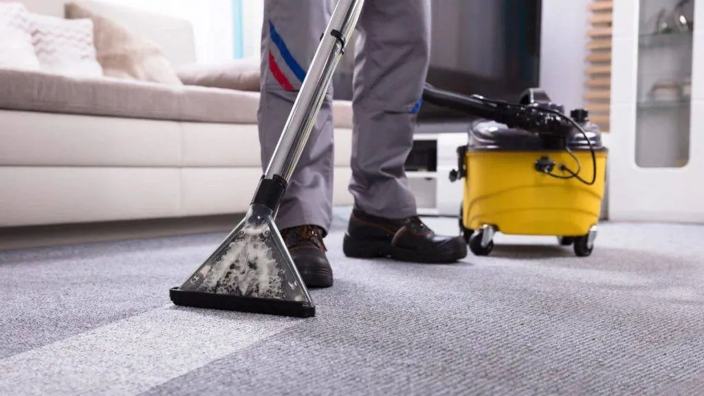 Professional carpet cleaning gold coast
