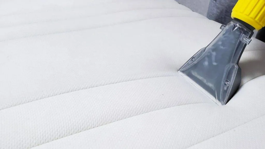 Professional upholstery cleaner cleaning a lounge in a home