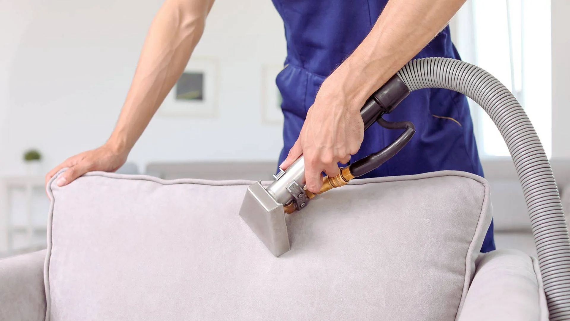 professional upholstery cleaner cleaning a sofa