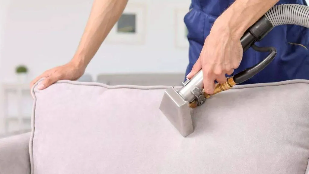 A professional cleaning an upholstery lounge