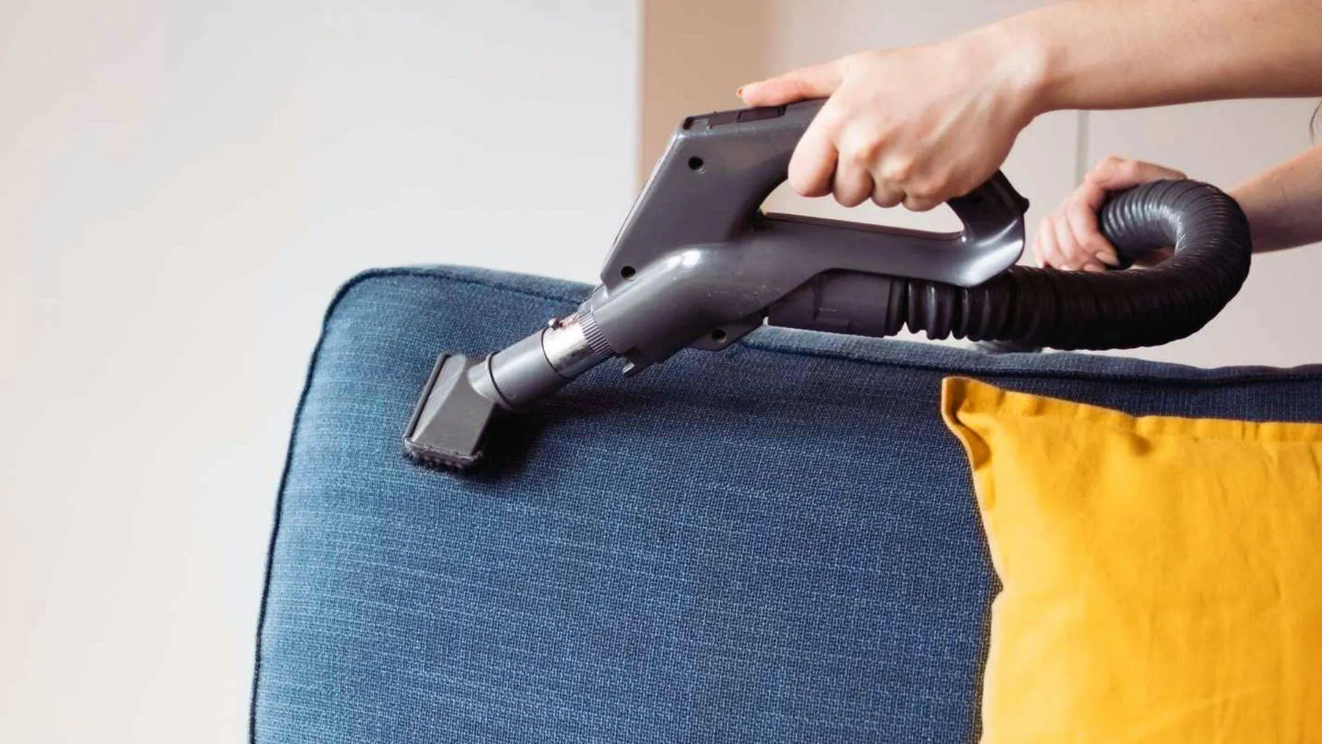 sofa being professionally cleaned