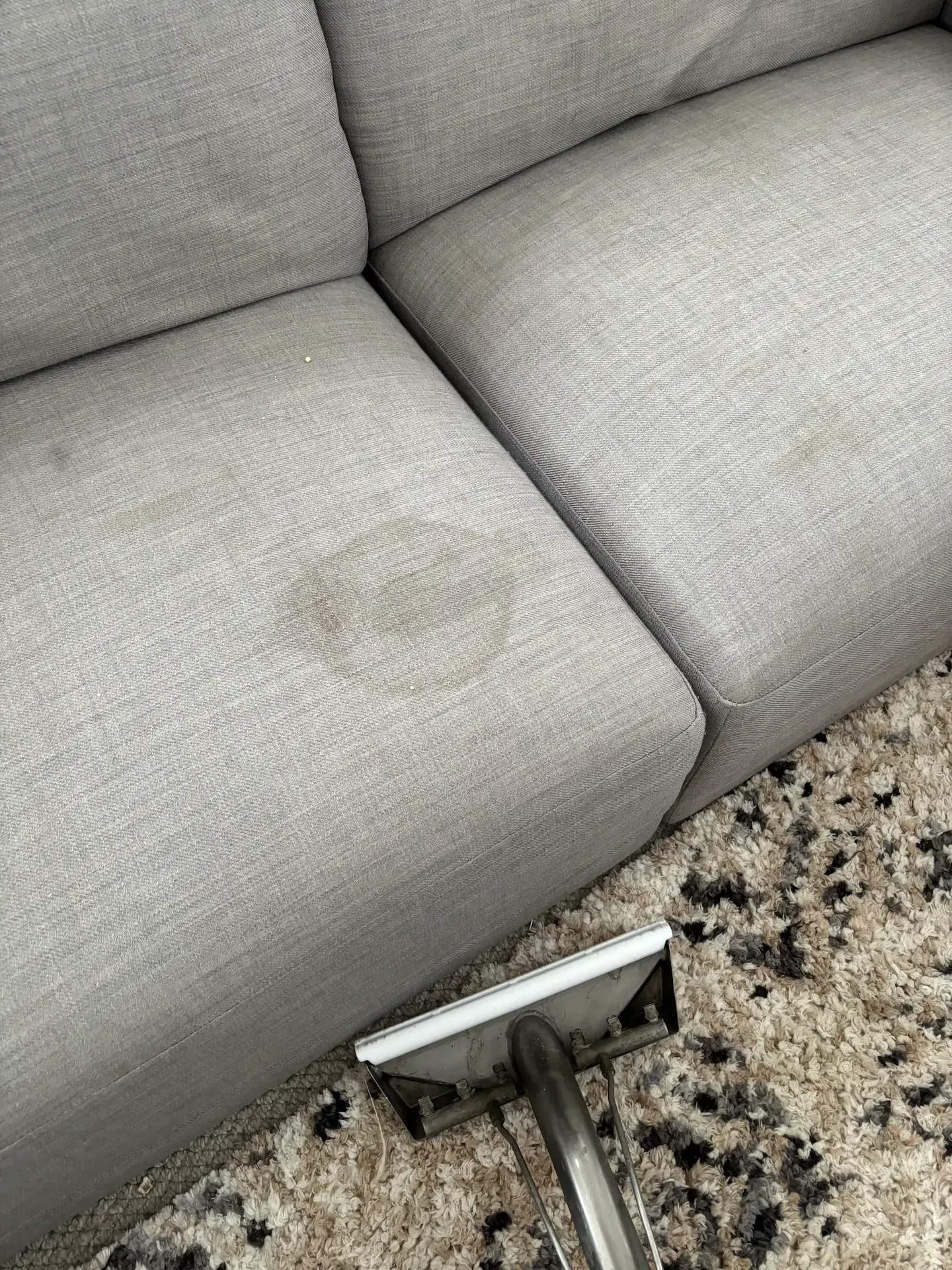 Professional upholstery stain removal being performed in a Gold Coast property