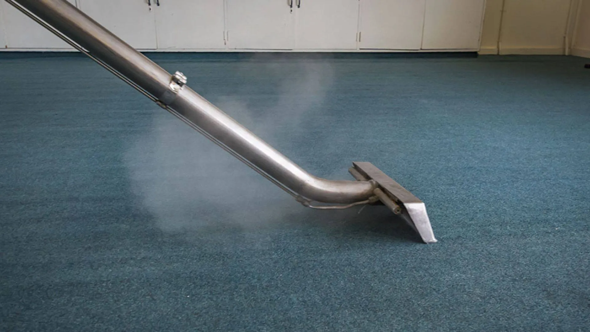 Professional carpet steam cleaning company, The Carpet Surgeon Gold Coast